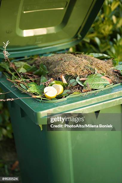 compost in garbage can - grass clippings stock pictures, royalty-free photos & images