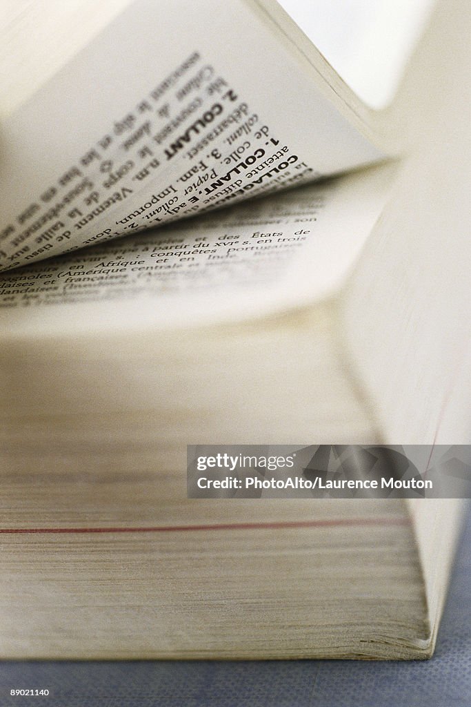 French dictionary, extreme close-up