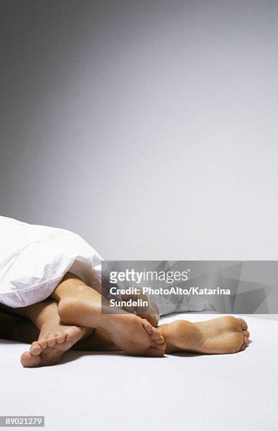 feet of couple lying together emerging from under blanket, cropped view - woman lying on stomach with feet up foto e immagini stock