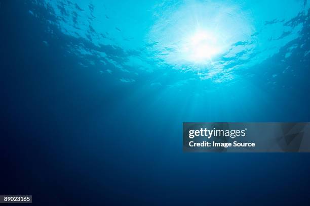 sea at similan islands national marine park - sea sunlight underwater stock pictures, royalty-free photos & images