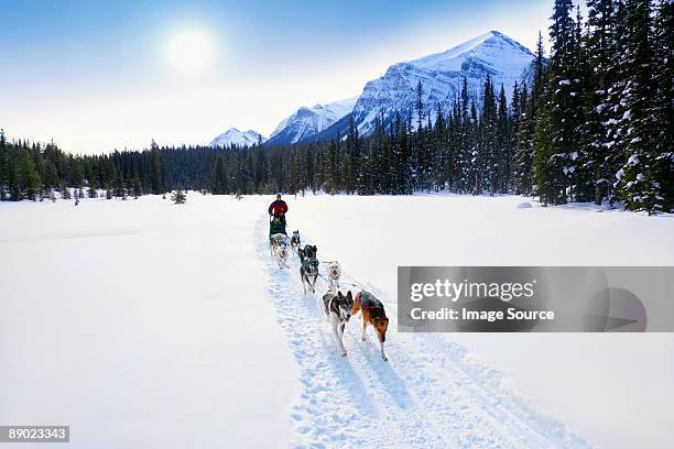 person having a sleigh ride through the snow - pull foto e immagini stock