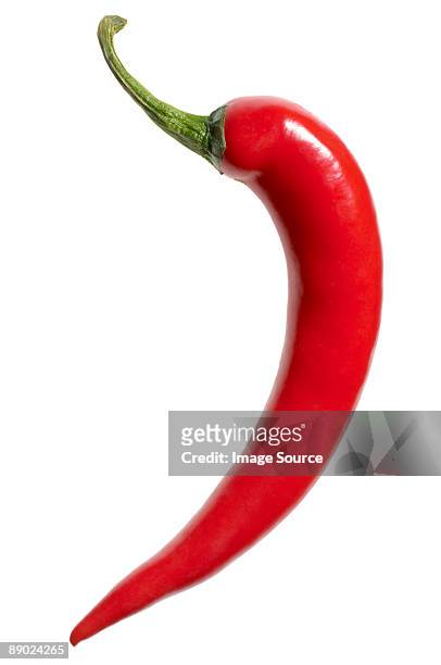 red chili on white background - chili bildbanksfoton och bilder