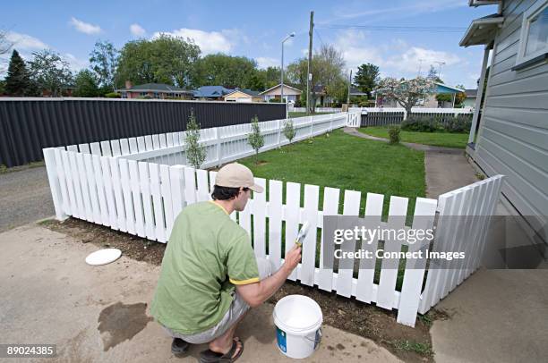 man painting fence - tuinhek stockfoto's en -beelden