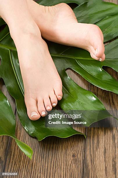 female feet on leaf - womens pretty feet stock pictures, royalty-free photos & images