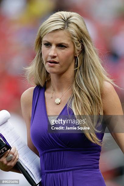Reporter Erin Andrews looks on during the 2009 XM All-Star Futures Game at Busch Stadium on July 12, 2009 in St. Louis, Missouri.
