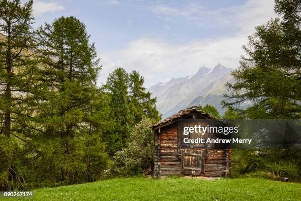 traditional wooden barn or hut in the mountains above zermatt, switzerland, swiss alps - lyalls lärche stock-fotos und bilder