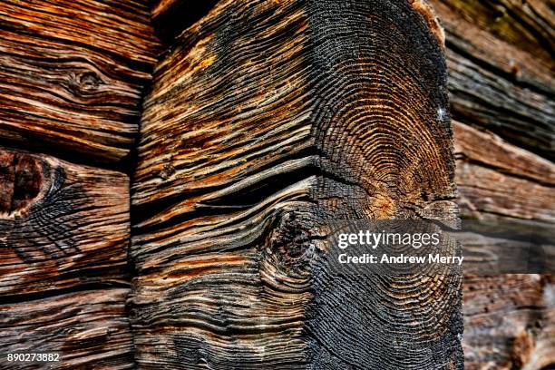 close up of timber block and wood-grain from historic wooden barn, chalet or hut in the mountains above zermatt, switzerland, swiss alps - lyalls lärche stock-fotos und bilder