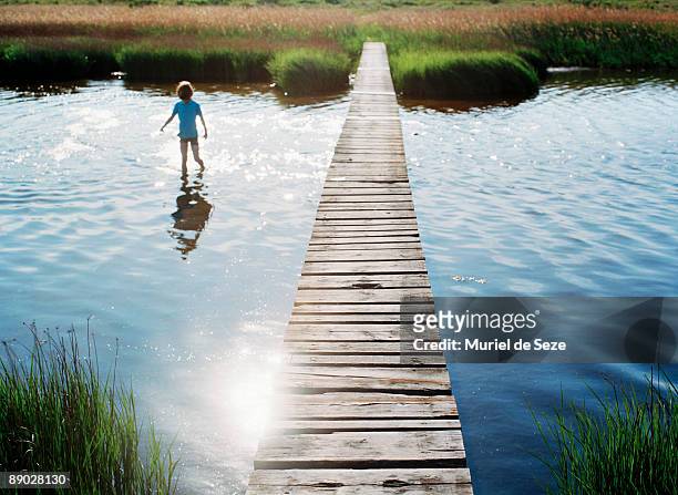 boy playing in water along wooden bridge - ankle deep in water fotografías e imágenes de stock