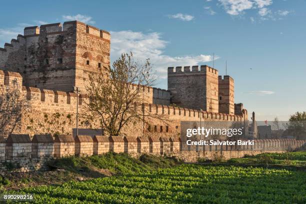 istanbul city walls - castle wall fotografías e imágenes de stock