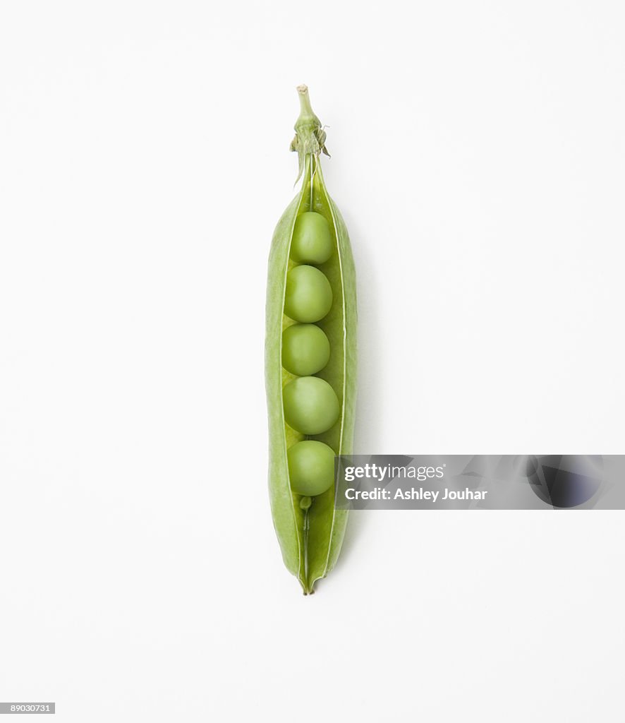 Pea pod containing peas - close up