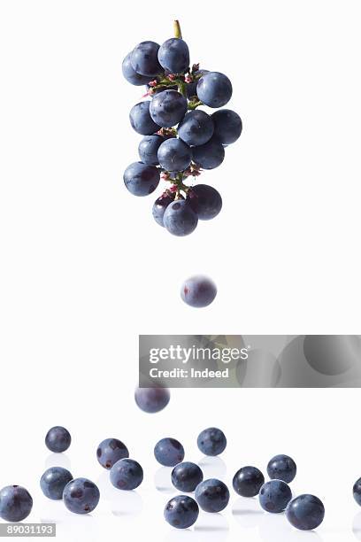 falling grapes from vine - grapes on vine stockfoto's en -beelden