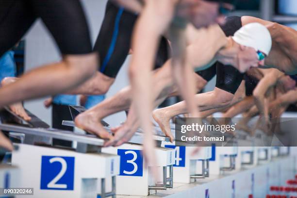 start of a swimming competition - swimming race imagens e fotografias de stock