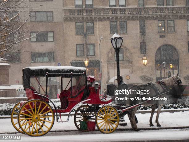 horse carriage in central park winter - horse carriage bildbanksfoton och bilder