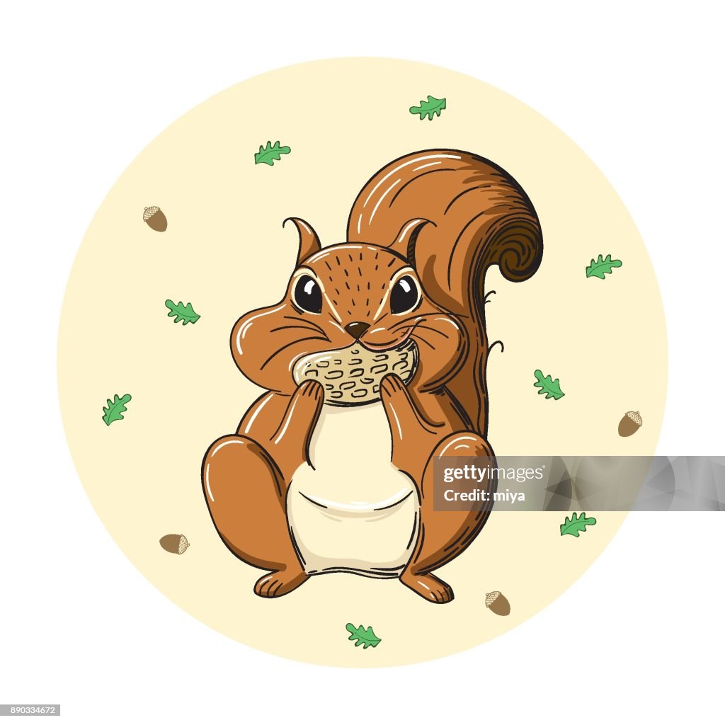 Cartoon Squirrel Holding Acorn Illustration High-Res Vector Graphic - Getty  Images