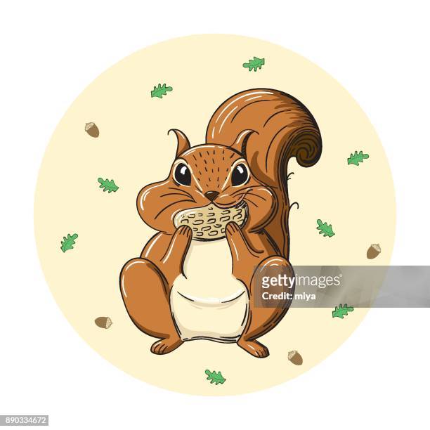 cartoon squirrel holding acorn - illustration - squirrel stock illustrations
