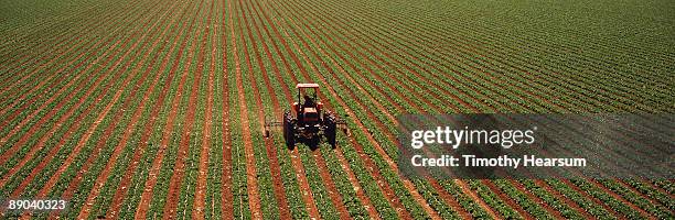 full frame of tractor cultivating lettuce field - lompoc-california photos et images de collection