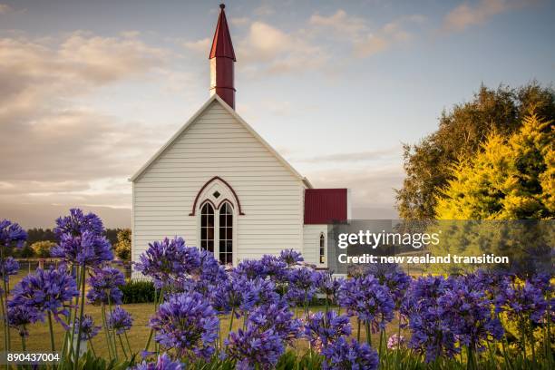 burnside church in late afternoon sun light with flowers in foreground, wairarapa - presbyterianisme stockfoto's en -beelden