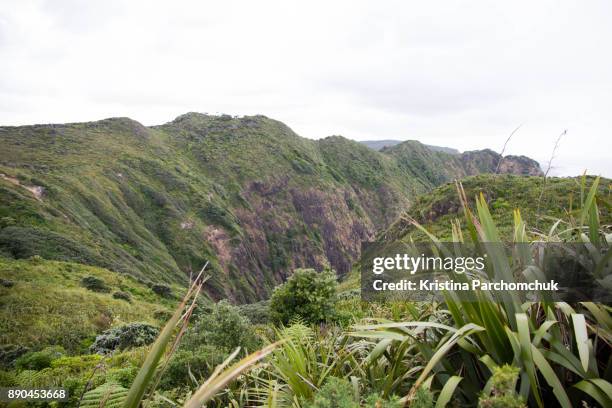 Mercer Loop Track Mercer New Zealand Photos and Premium High Res Pictures - Getty Images