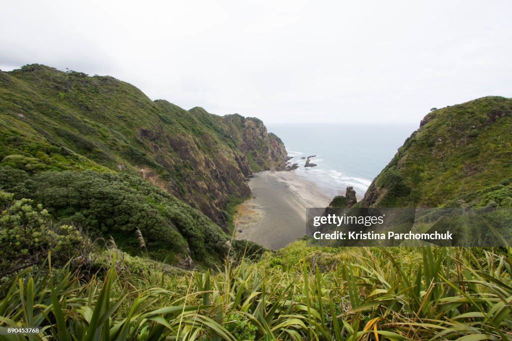 Mercer Loop Track Mercer Loop Track Waitakere New Zealand High-Res Stock Photo - Getty Images