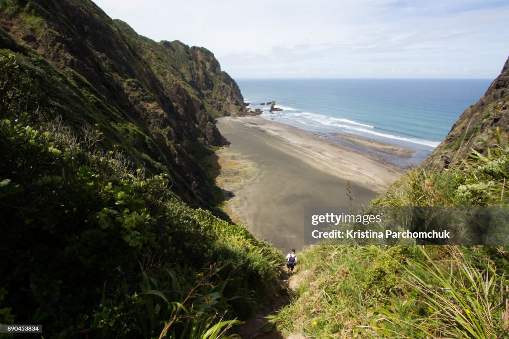 Mercer Loop Track Mercer Loop Track Waitakere New Zealand High-Res Stock Photo - Getty Images