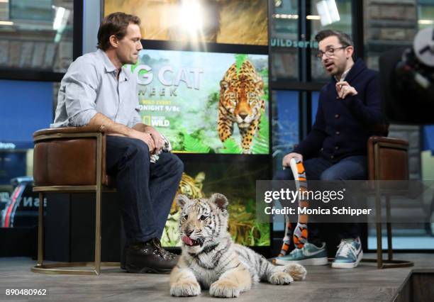 Boone Smith brings in a Bengal tiger cub when he discusses "Big Cat Week" On Nat Geo WILD at Build Studio on December 11, 2017 in New York City.