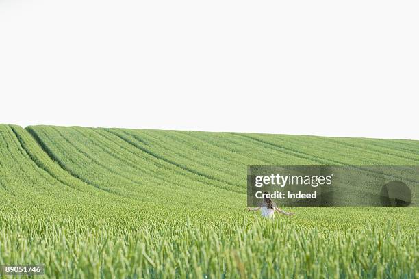 young woman walking in wheat field - hokkaido japan stock-fotos und bilder