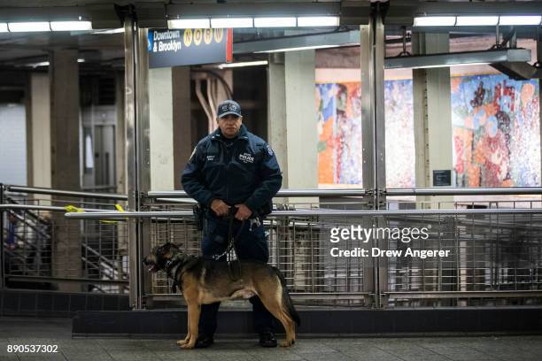 New York City Police Department officer and his K-9 stand watch inside the Times Square subway station during the evening rush hour, December 11,...