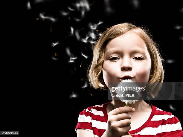 young girl blowing dandelion - child dandelion stockfoto's en -beelden