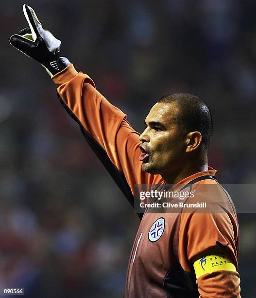 Jose Luis Chilavert of Paraguay in action during the FIFA World Cup Finals 2002 Group B match between Slovenia and Paraguay played at the...