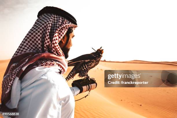 hombre árabe en el desierto con un halcón - cetrería fotografías e imágenes de stock
