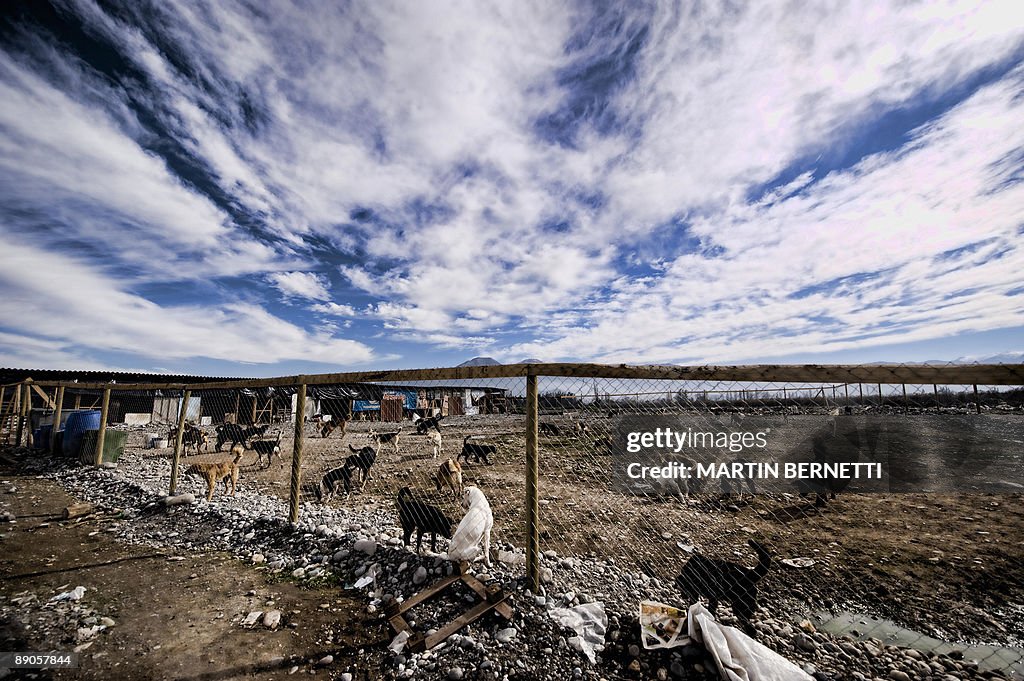 TO GO WITH AFP STORY Picture of the fenc