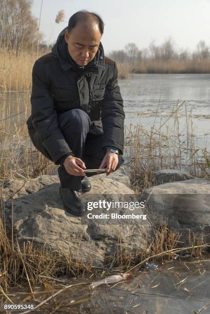 Ma Jun, founder of the Institute of Public & Environmental Affairs, takes a photograph of a dead fish in a stream while posing for a photograph in a...