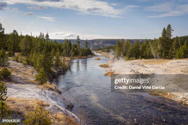 usa, wyoming, yellowstone national park, yellowstone river - yellowstone river stock pictures, royalty-free photos & images