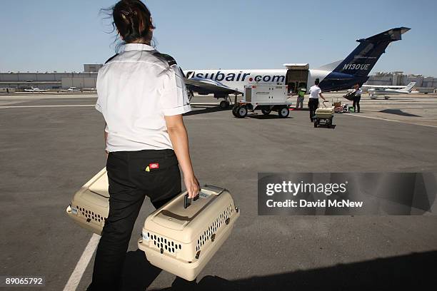 Pets are loaded for take-off on the southern California maiden voyage of Pet Airways on July 16, 2009 in the Los Angeles-area city of Hawthorne,...