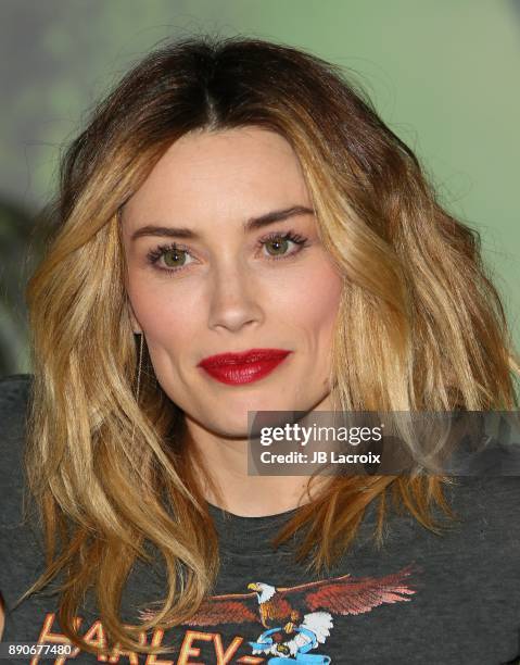 Arielle Vandenberg attends the premiere of Columbia Pictures' 'Jumanji: Welcome To The Jungle' on December 11, 2017 in Los Angeles, California.