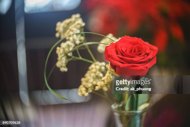 rose flower decoration with art background - gold bug stock pictures, royalty-free photos & images