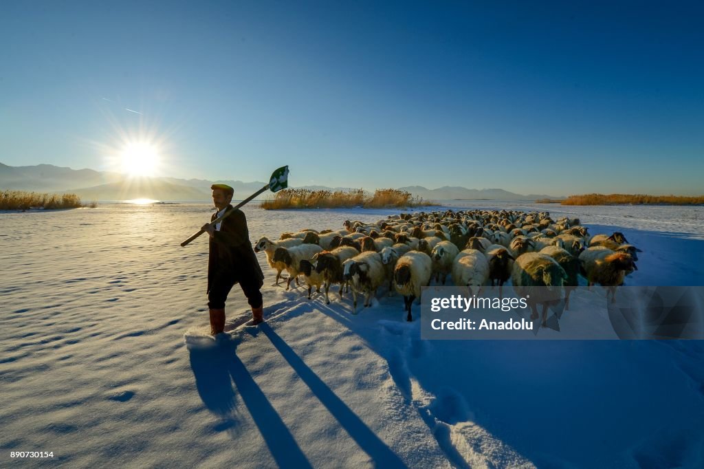 Herding in Turkey's Van