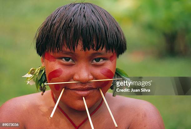 yanomami woman with wood stick piercing in face - yanomami stock pictures, royalty-free photos & images