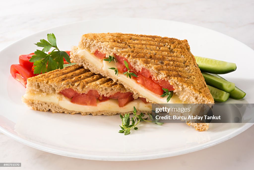 Cheese sandwich