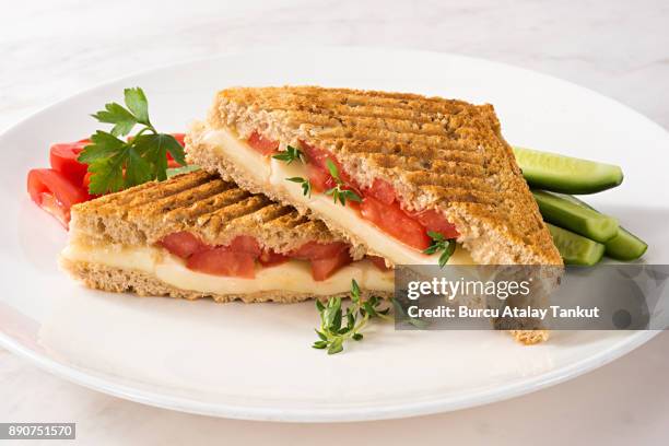 cheese sandwich - grillad sandwich bildbanksfoton och bilder