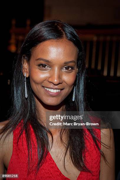 Liya Kebede attends the Gordon Parks Foundation's Celebrating Spring fashion awards gala at Gotham Hall on June 2, 2009 in New York City.