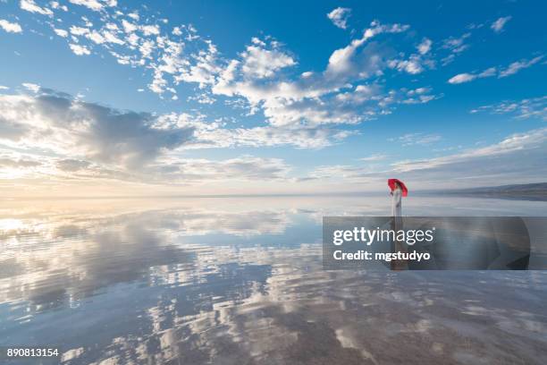 photo of beautiful young woman with umbrella on the wonderful sky background - red white and blue beach stock pictures, royalty-free photos & images