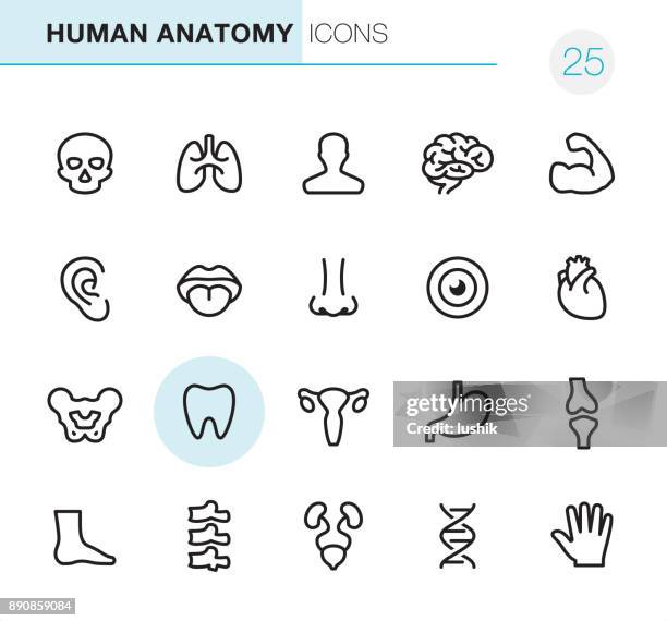 人體解剖學-圖元完美圖示 - human mouth 幅插畫檔、美工圖案、卡通及圖標