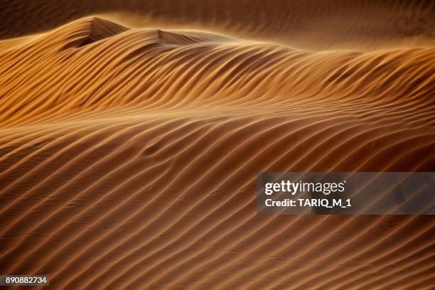 close-up of a sand dune in the desert, saudi arabia - arabia saudi fotografías e imágenes de stock