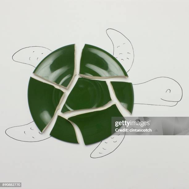 conceptual turtle - broken plate stock pictures, royalty-free photos & images