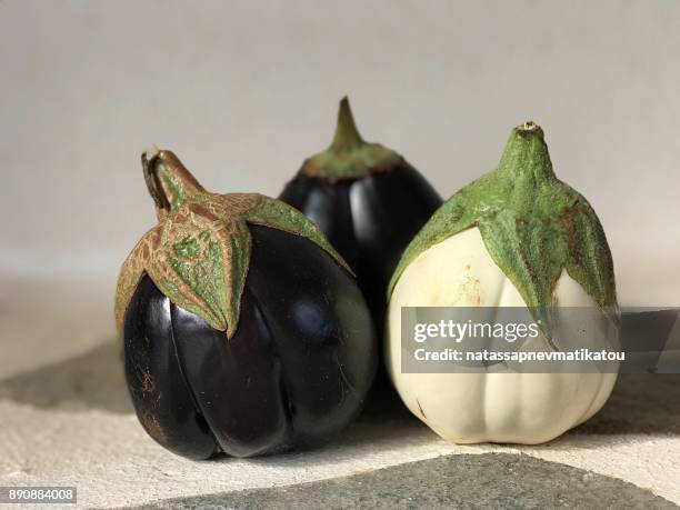 white and purple eggplants - white eggplant stock pictures, royalty-free photos & images