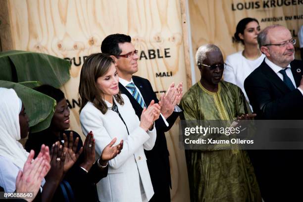 Queen Letizia of Spain and Spanish ambassador Alberto Virella visit the Cervantes Institute on December 12, 2017 in Dakar, Senegal. Queen Letizia of...