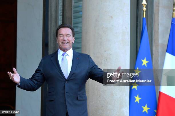 Arnold Schwarzenegger arrives for a meeting with French President Emmanuel Macron as he receives the One Planet Summit's international leaders at...