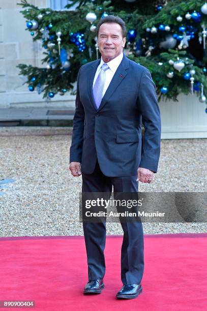 Arnold Schwarzenegger arrives for a meeting with French President Emmanuel Macron as he receives the One Planet Summit's international leaders at...