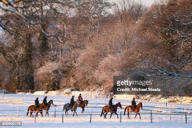 The fourth lot head towards the top of the polytrack in heavy snow conditions during the morning gallops at the yard of national hunt trainer Nigel...